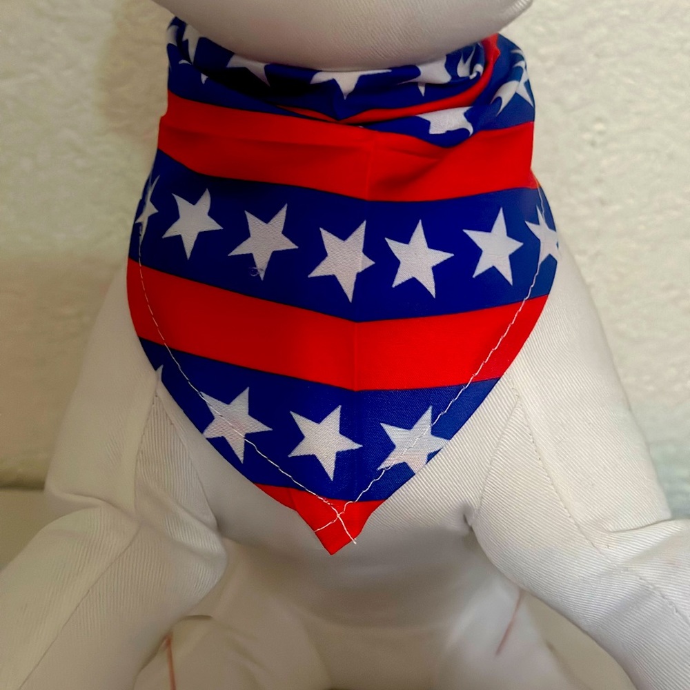 Pet Bandanas set